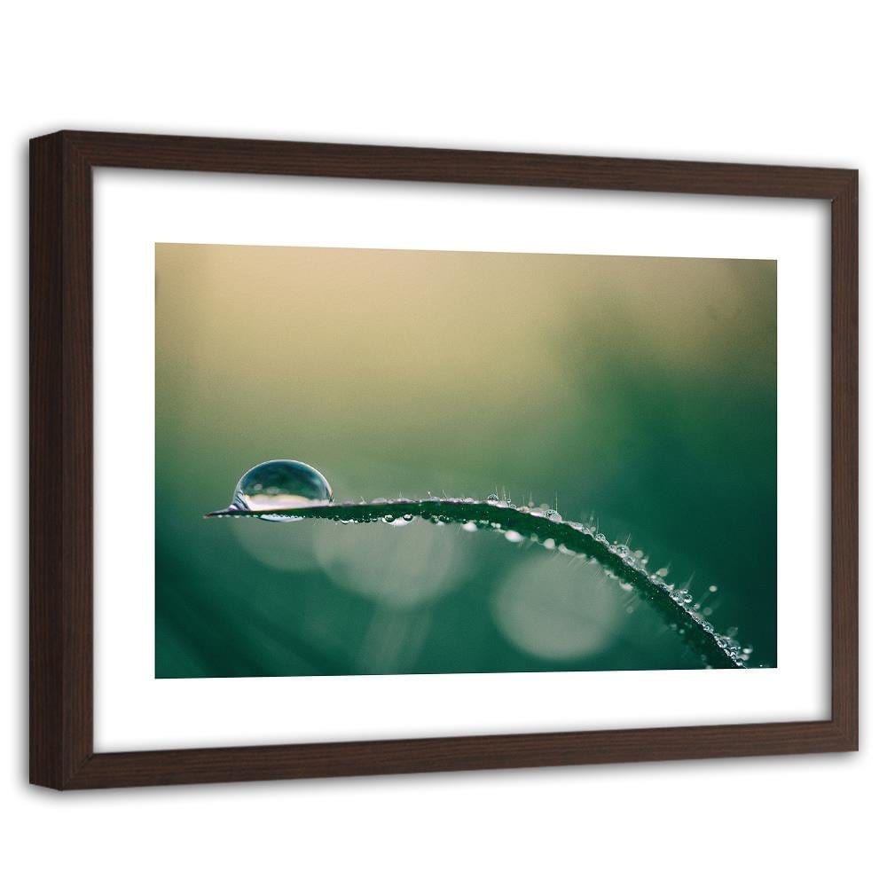 Glezna brūnā rāmī - Morning Dew  Home Trends DECO