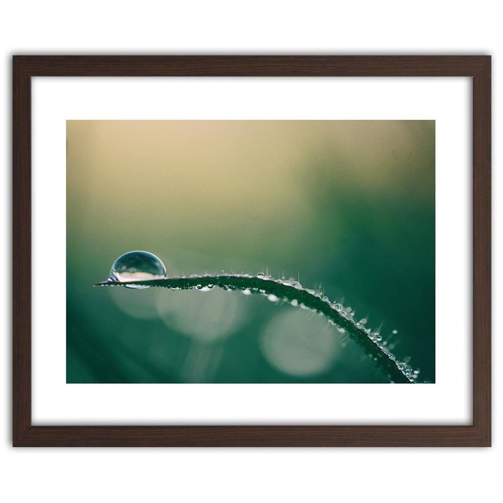Glezna brūnā rāmī - Morning Dew  Home Trends DECO
