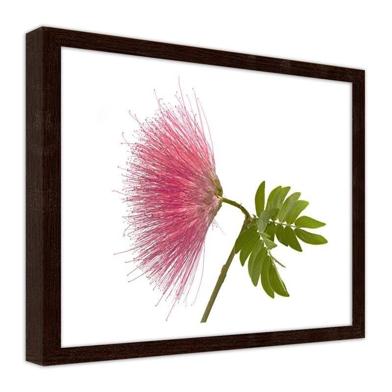Glezna brūnā rāmī - Pink flower 2  Home Trends DECO