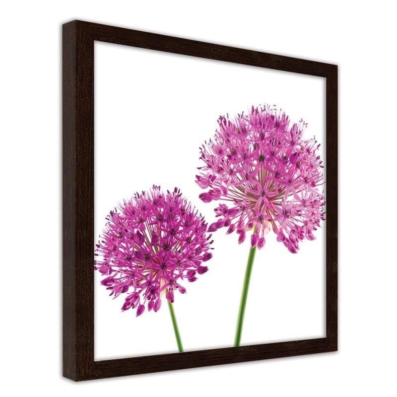 Glezna brūnā rāmī - Pink garlic flower  Home Trends DECO