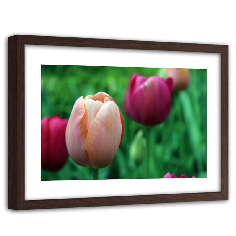 Glezna brūnā rāmī - Pink Tulip  Home Trends DECO