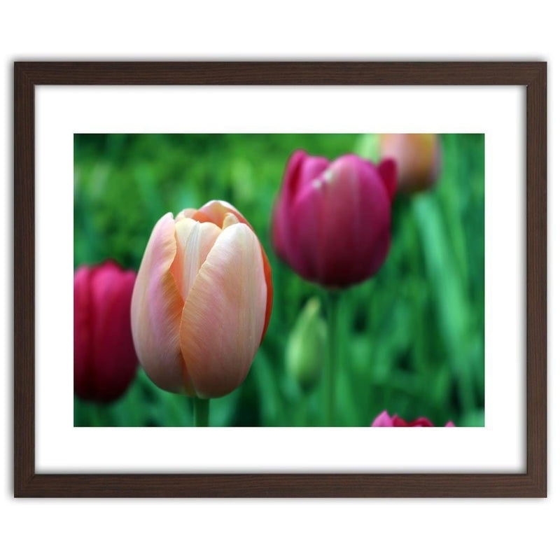Glezna brūnā rāmī - Pink Tulip  Home Trends DECO