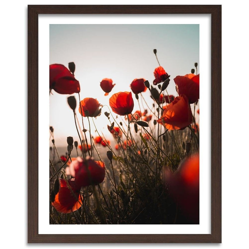 Glezna brūnā rāmī - Poppies In Suns  Home Trends DECO