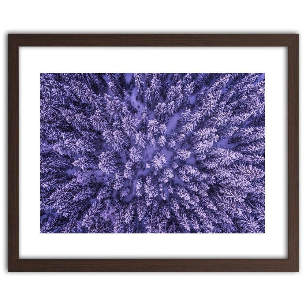 Glezna brūnā rāmī - Purple Forest  Home Trends DECO