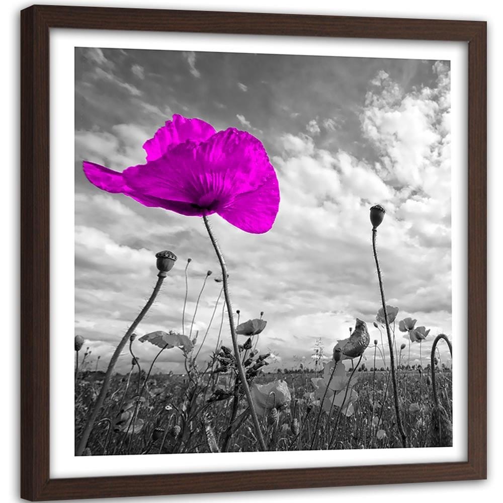 Glezna brūnā rāmī - Purple Poppy  Home Trends DECO