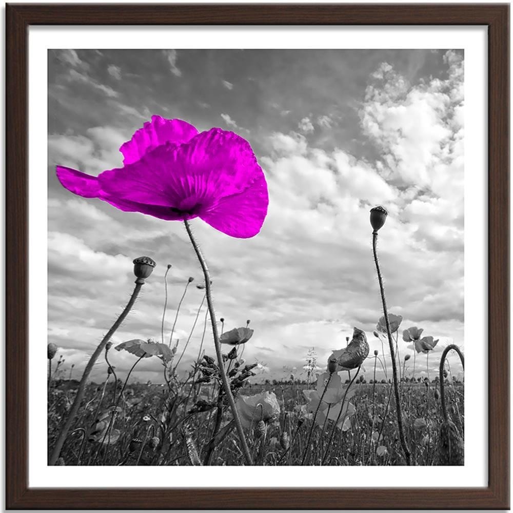 Glezna brūnā rāmī - Purple Poppy  Home Trends DECO