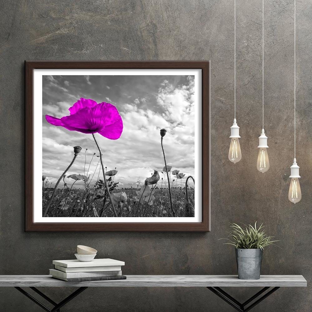 Glezna brūnā rāmī - Purple Poppy  Home Trends DECO