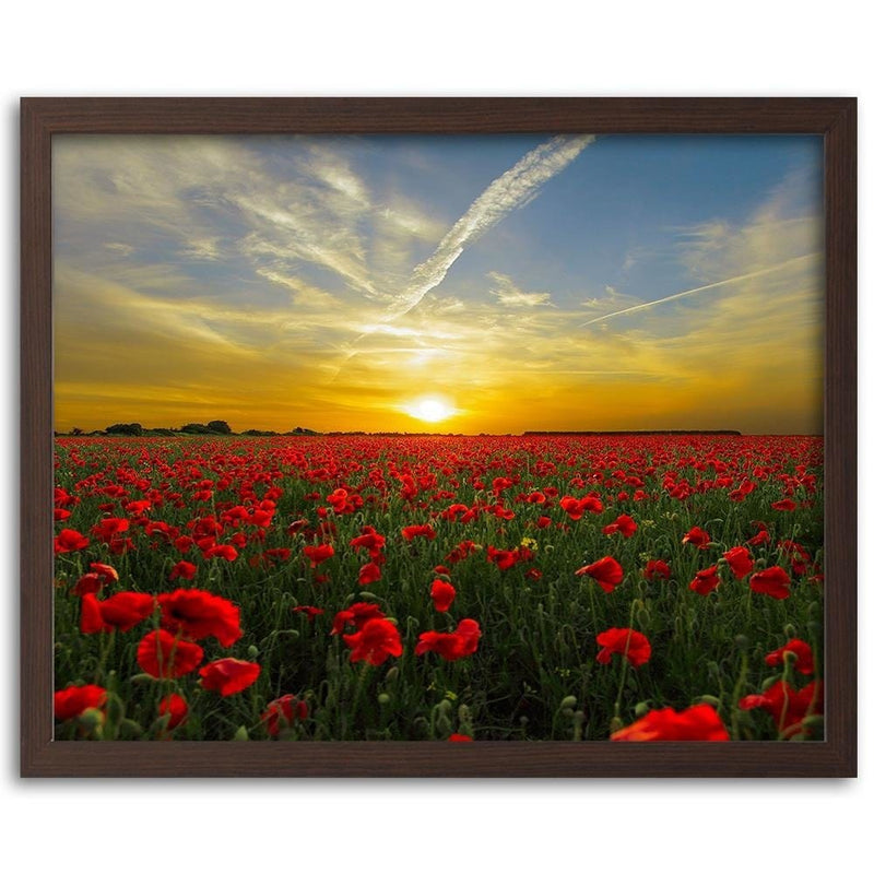 Glezna brūnā rāmī - Red Poppy Flowers  Home Trends DECO