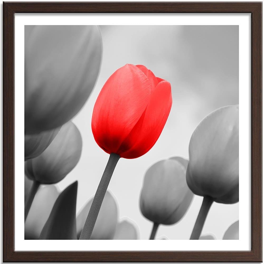 Glezna brūnā rāmī - Red Tulip In Gray  Home Trends DECO