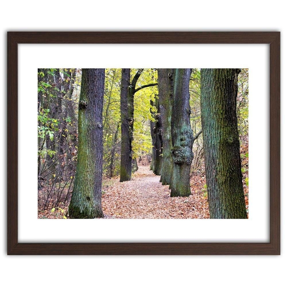 Glezna brūnā rāmī - Road In The Park  Home Trends DECO