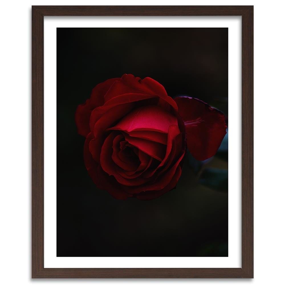 Glezna brūnā rāmī - Rose On A Black Background  Home Trends DECO