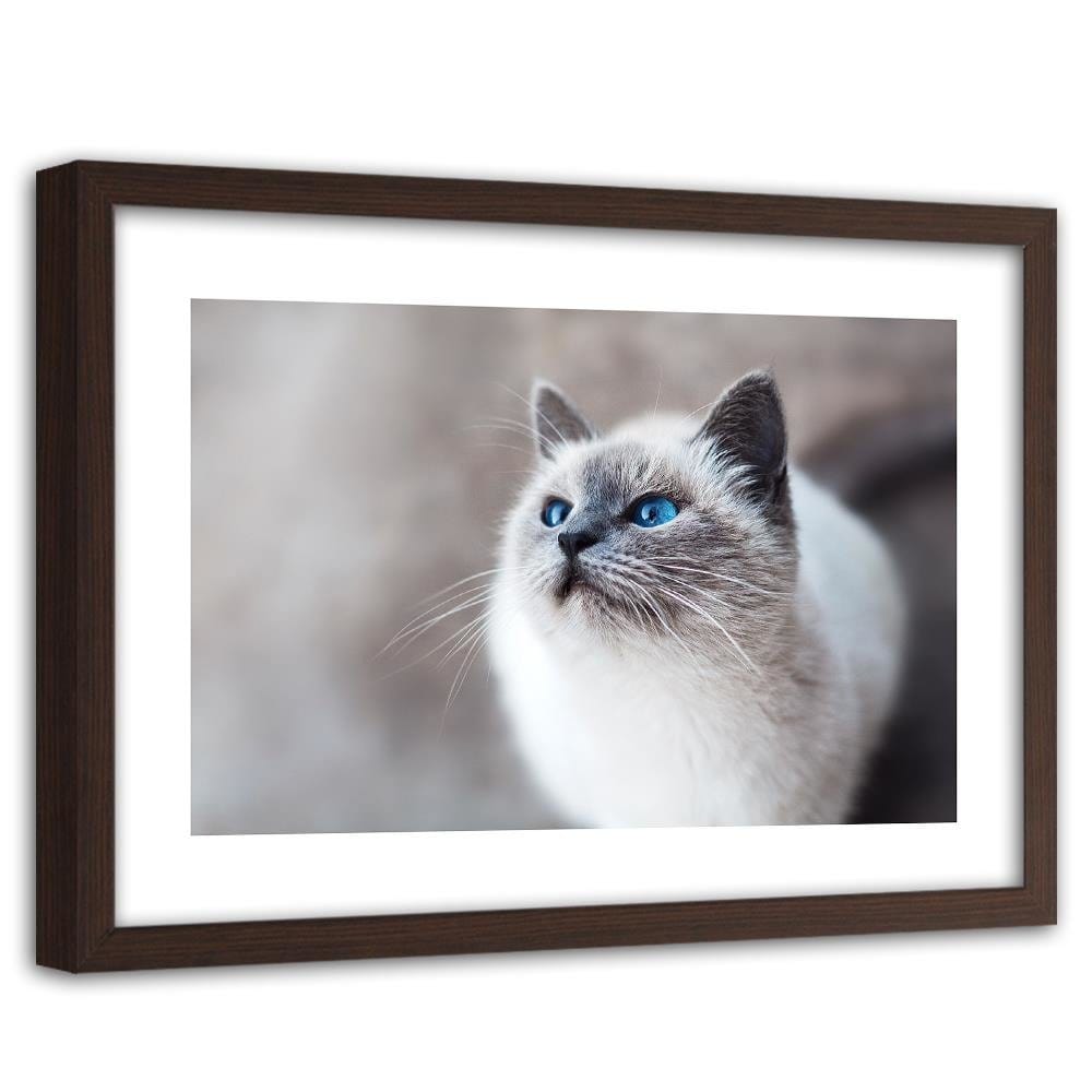 Glezna brūnā rāmī - Siberian Cat  Home Trends DECO