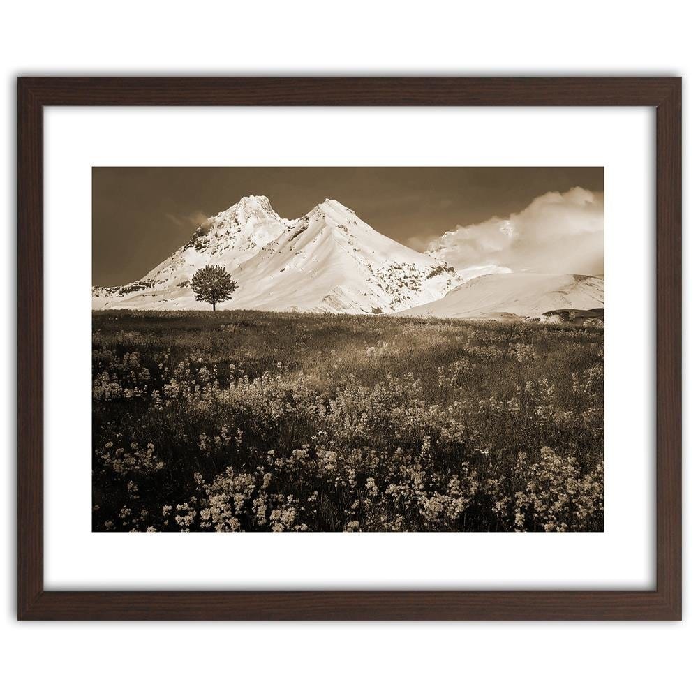 Glezna brūnā rāmī - Snowy Mountains And Colorful Meadow 1  Home Trends DECO