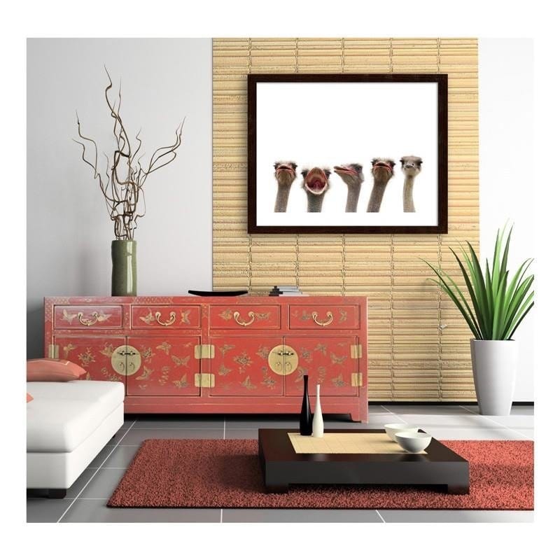 Glezna brūnā rāmī - Strusie  Home Trends DECO