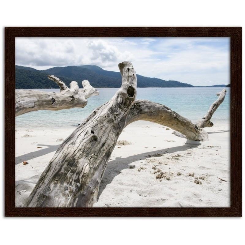 Glezna brūnā rāmī - The branches of a tree on a tropical beach  Home Trends DECO