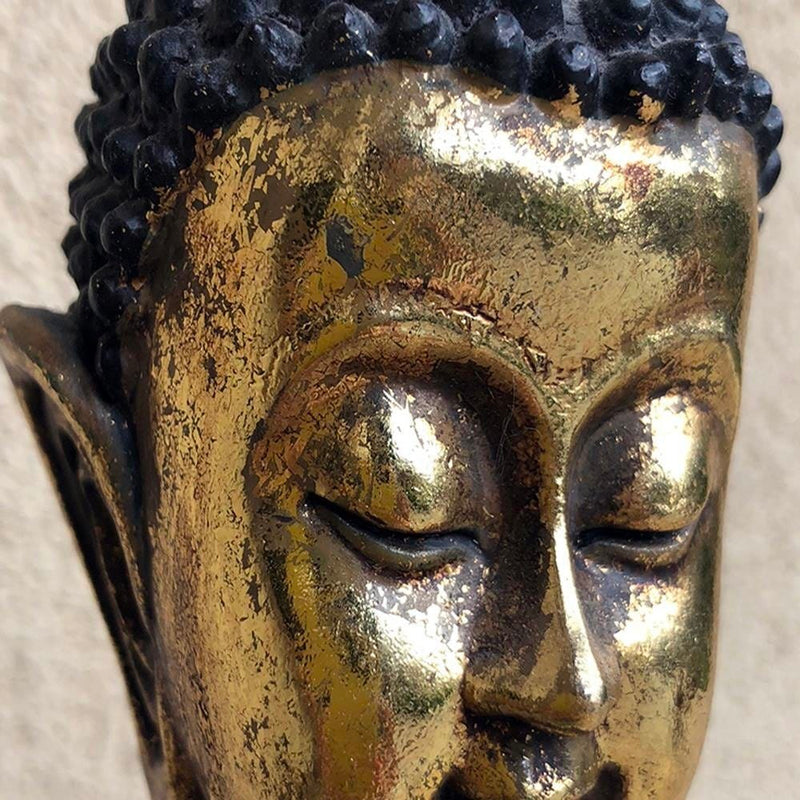 Glezna brūnā rāmī - The Face Of The Golden Buddha  Home Trends DECO