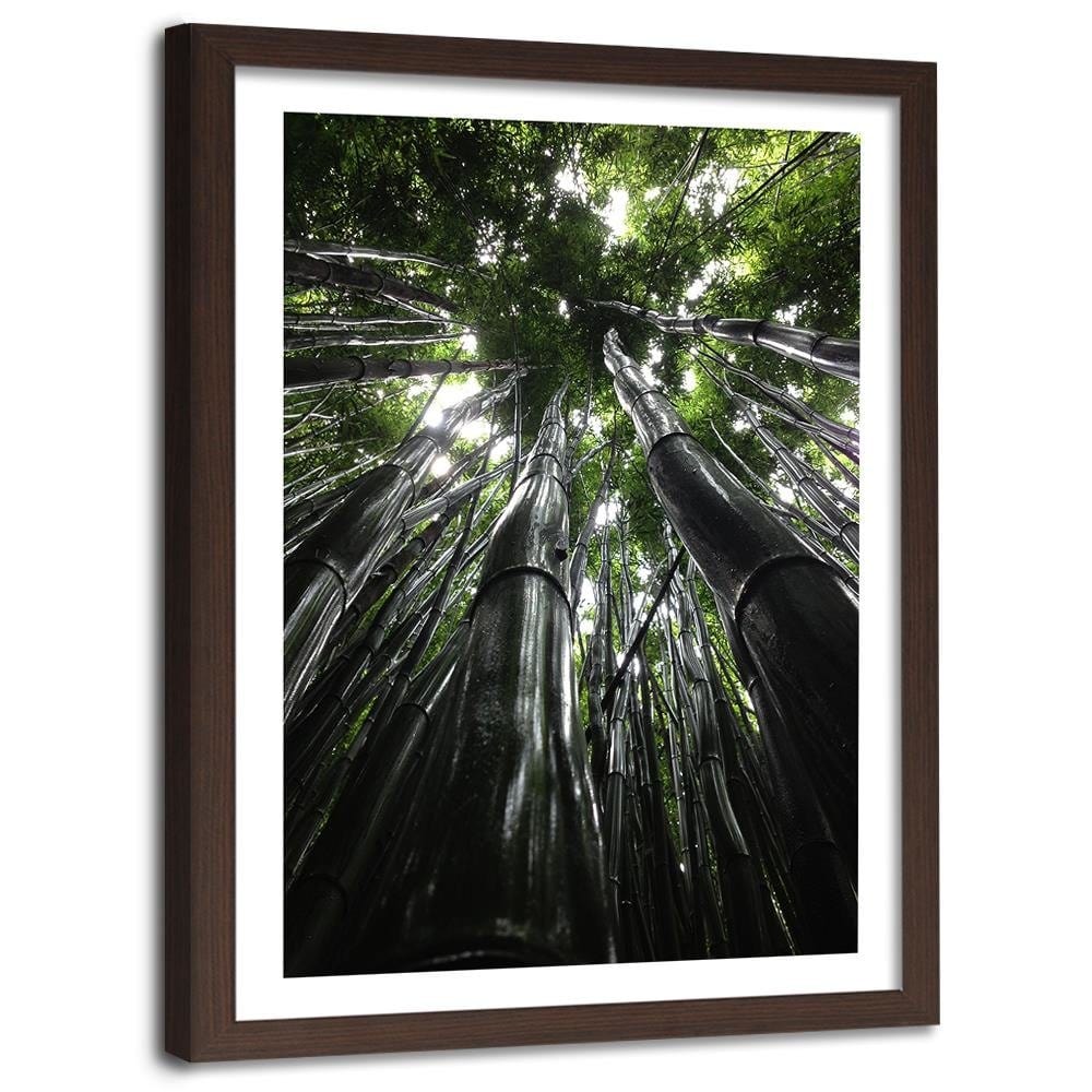 Glezna brūnā rāmī - The Tops Of Tall Trees  Home Trends DECO