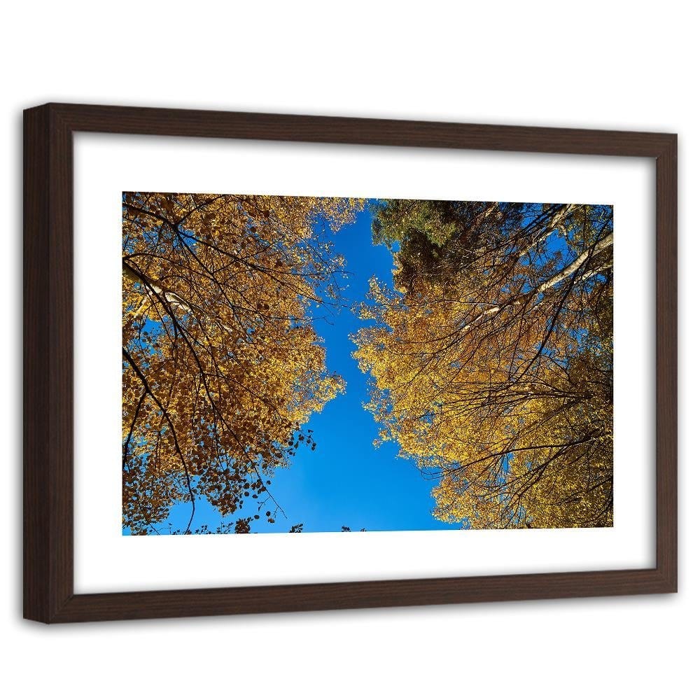 Glezna brūnā rāmī - The Tops Of Trees In Autumn  Home Trends DECO