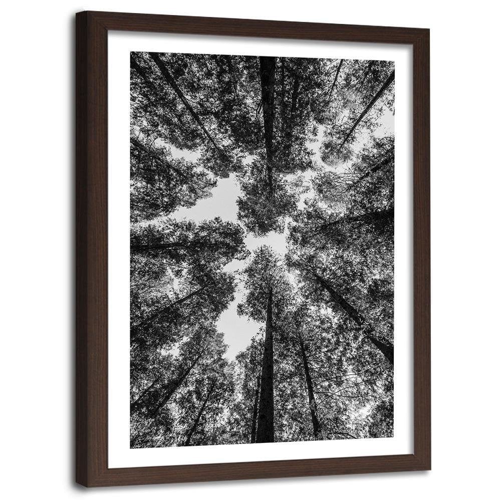 Glezna brūnā rāmī - The Treetops  Home Trends DECO
