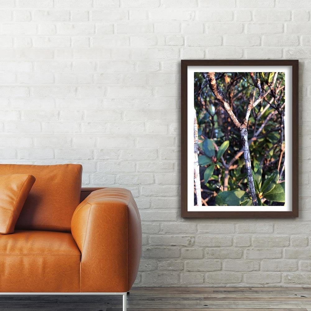 Glezna brūnā rāmī - Twig Bush  Home Trends DECO