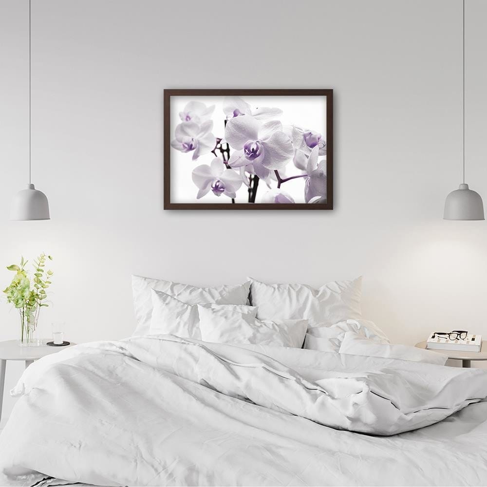 Glezna brūnā rāmī - White Orchid 3  Home Trends DECO