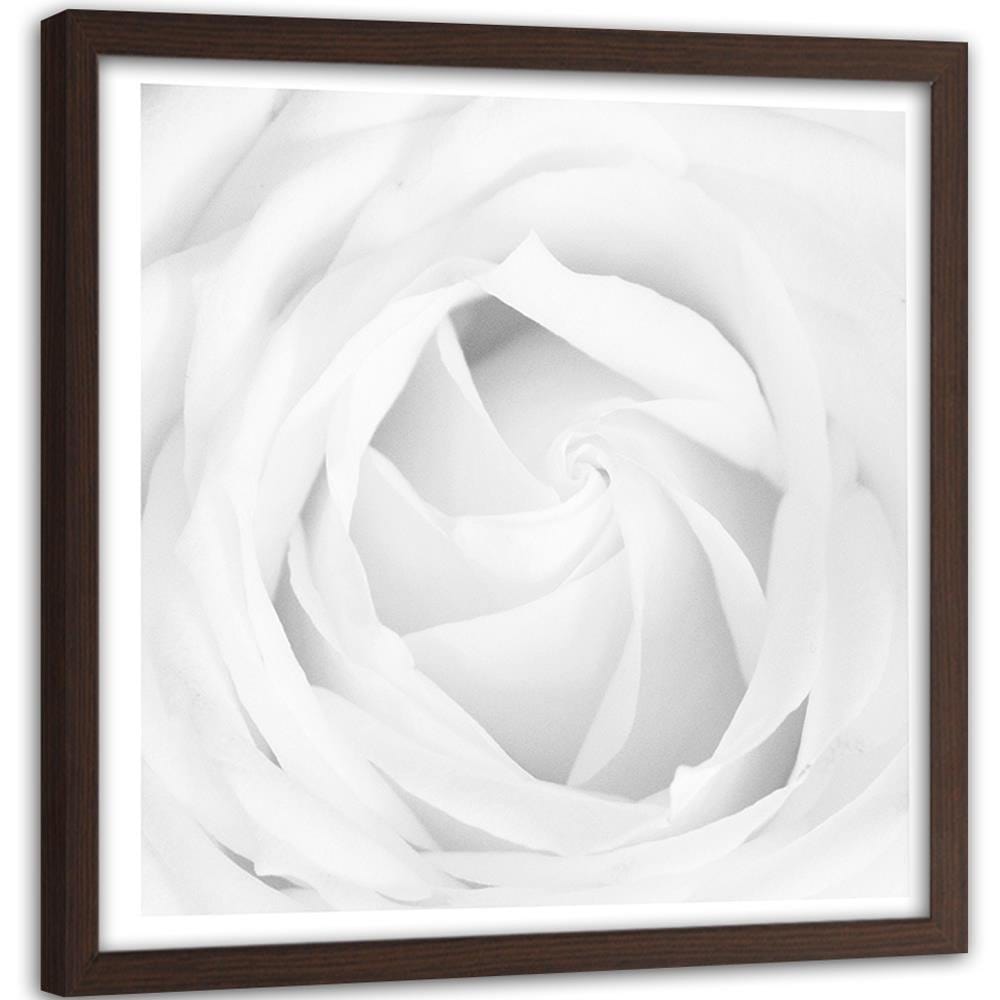 Glezna brūnā rāmī - White Rose 4  Home Trends DECO