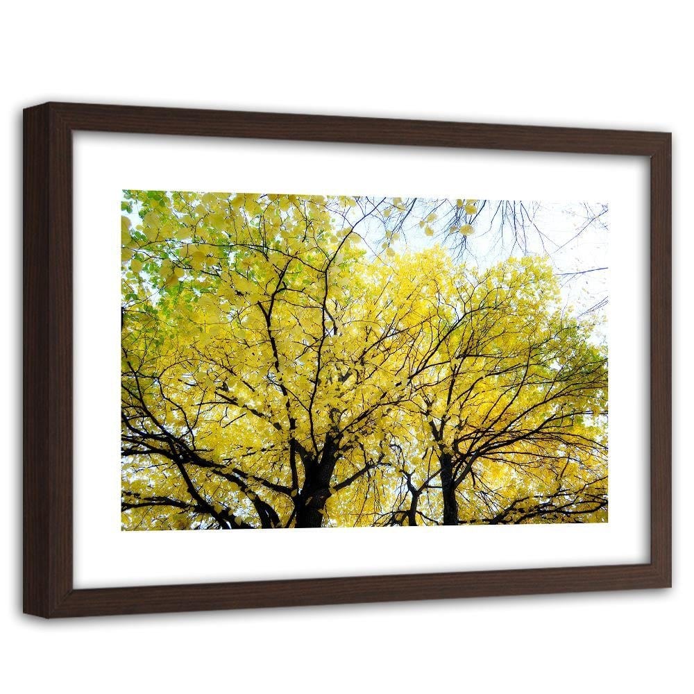 Glezna brūnā rāmī - Yellow Leaves On A Tree  Home Trends DECO
