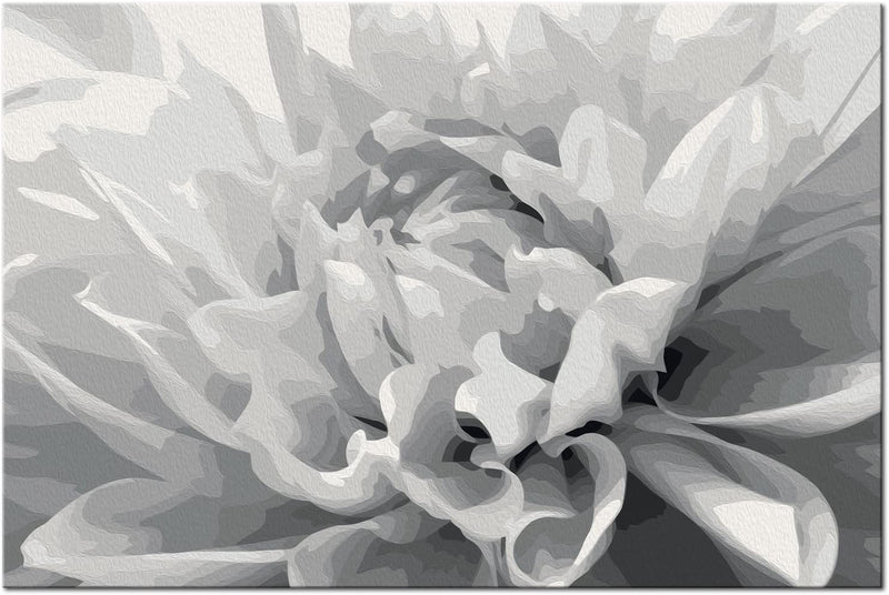 Glezna izkrāso pēc cipariem - Black & White Flower 60x40 cm Artgeist
