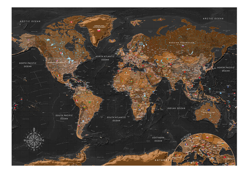 Fototapetes - Pasaules stilīga karte