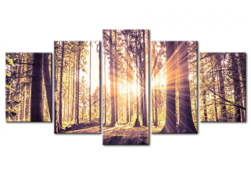 Glezna ar dabas un meža tematiku - Rīta idille, 88990 Home Trends