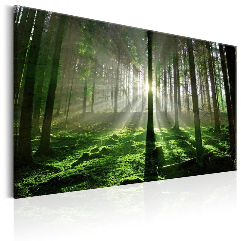 Glezna ar skaistu dabu - Smaragda mežs II, 97936 Home Trends